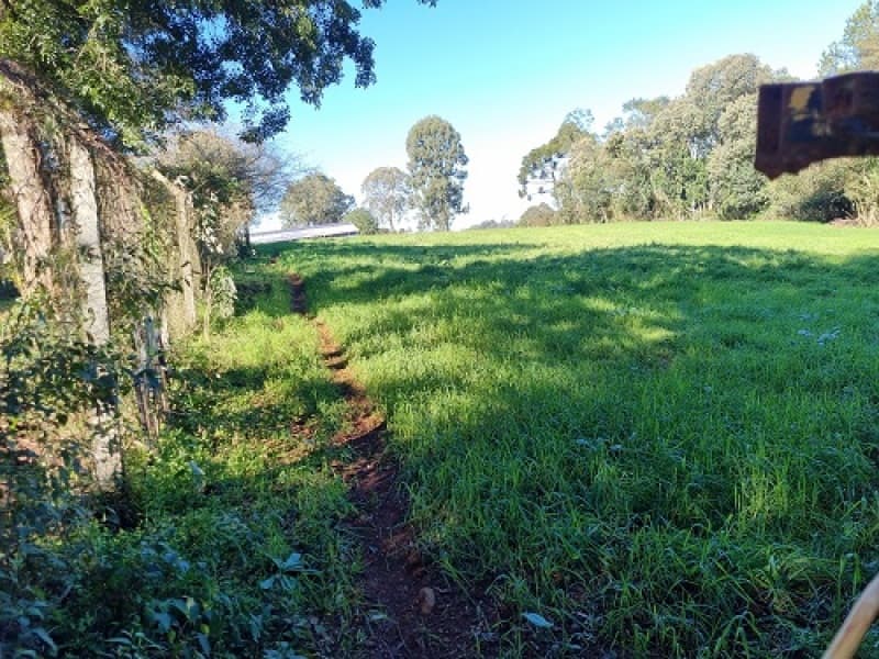 Foto 10 de 19: Terreno em leilão em Erechim - RS, bairro Paiol Grande — LOTE 001 Imovel