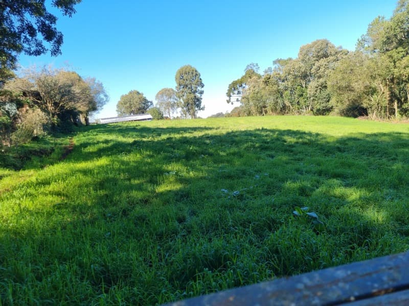 Foto 1 de 19: Terreno em leilão em Erechim - RS, bairro Paiol Grande — LOTE 001 Imovel