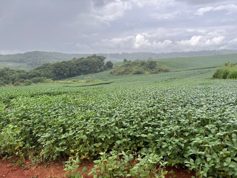Foto 18 de 27: Terreno em leilão em Pitanga - PR — LOTE 001-1 Imóvel