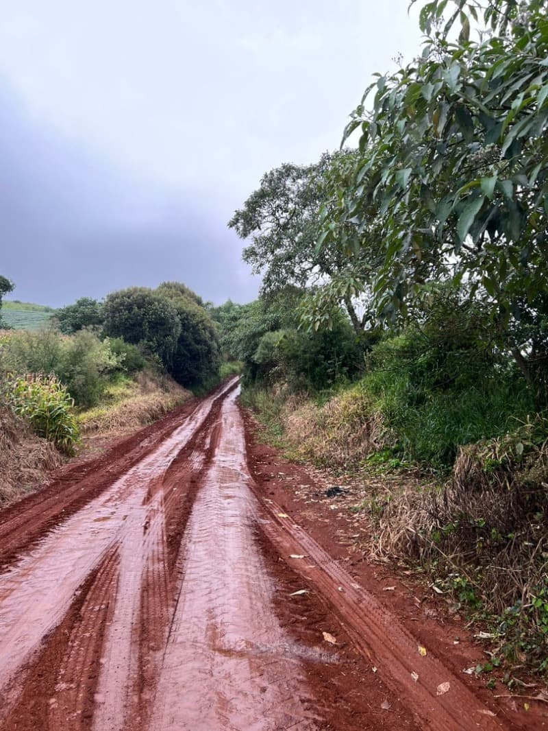 Foto 2 de 27: Terreno em leilão em Pitanga - PR — LOTE 001-1 Imóvel