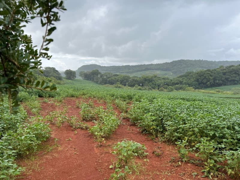 Foto 3 de 27: Terreno em leilão em Pitanga - PR — LOTE 001-1 Imóvel