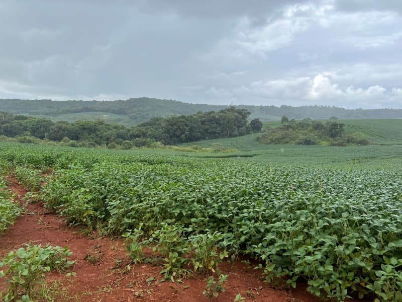 Foto 4 de 27: Terreno em leilão em Pitanga - PR — LOTE 001-1 Imóvel
