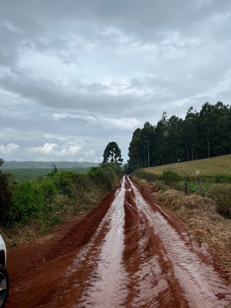 Foto 5 de 27: Terreno em leilão em Pitanga - PR — LOTE 001-1 Imóvel