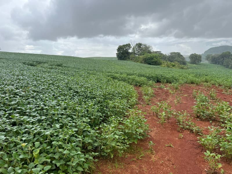 Foto 6 de 27: Terreno em leilão em Pitanga - PR — LOTE 001-1 Imóvel