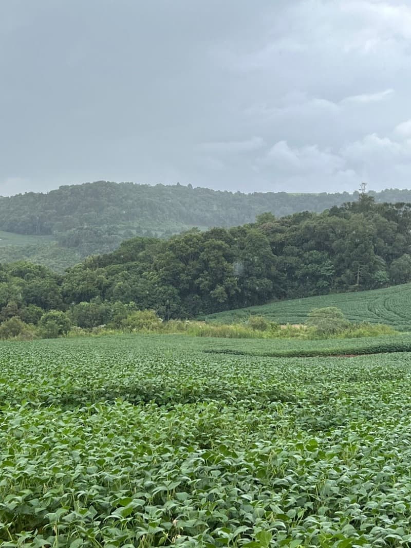 Foto 8 de 27: Terreno em leilão em Pitanga - PR — LOTE 001-1 Imóvel