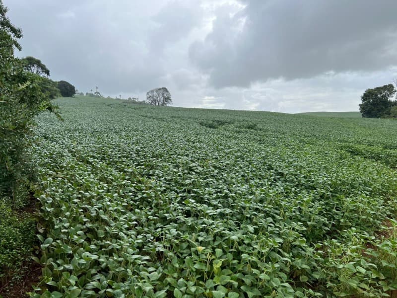 Foto 9 de 27: Terreno em leilão em Pitanga - PR — LOTE 001-1 Imóvel