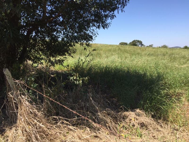 Foto 14 de 27: Terreno em leilão em Pitanga - PR — LOTE 001-1 Imóvel