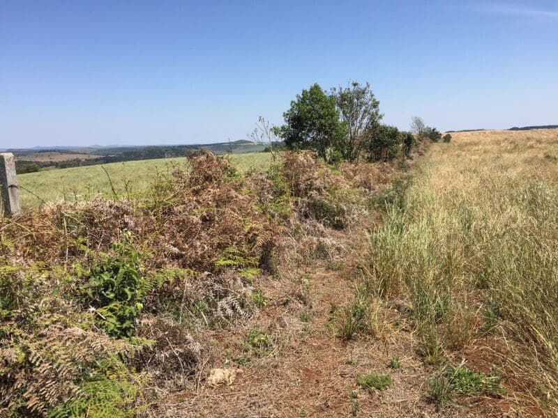 Foto 15 de 27: Terreno em leilão em Pitanga - PR — LOTE 001-1 Imóvel