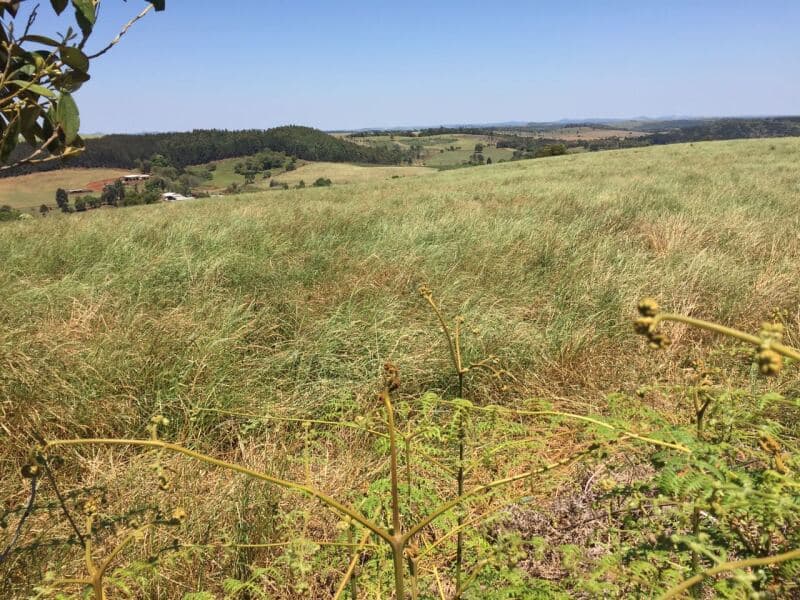 Foto 16 de 27: Terreno em leilão em Pitanga - PR — LOTE 001-1 Imóvel