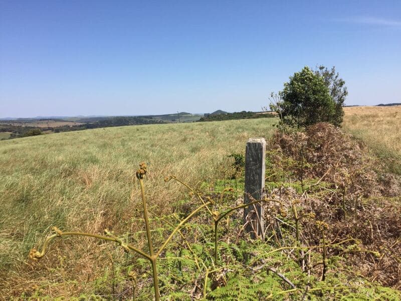 Foto 17 de 27: Terreno em leilão em Pitanga - PR — LOTE 001-1 Imóvel