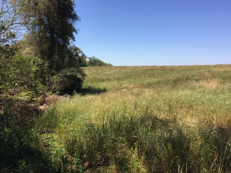 Foto 22 de 27: Terreno em leilão em Pitanga - PR — LOTE 001-1 Imóvel