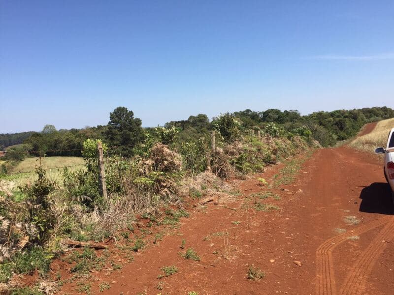 Foto 23 de 27: Terreno em leilão em Pitanga - PR — LOTE 001-1 Imóvel