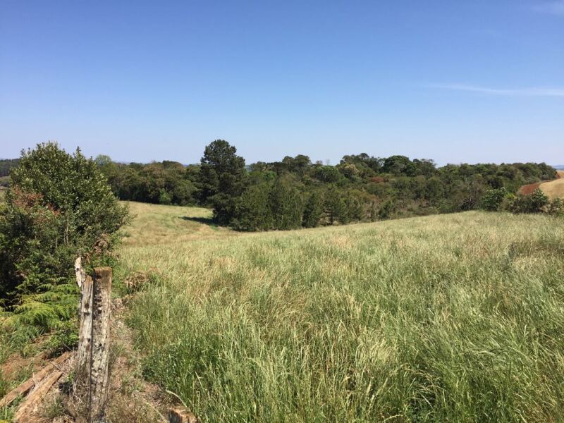 Foto 24 de 27: Terreno em leilão em Pitanga - PR — LOTE 001-1 Imóvel
