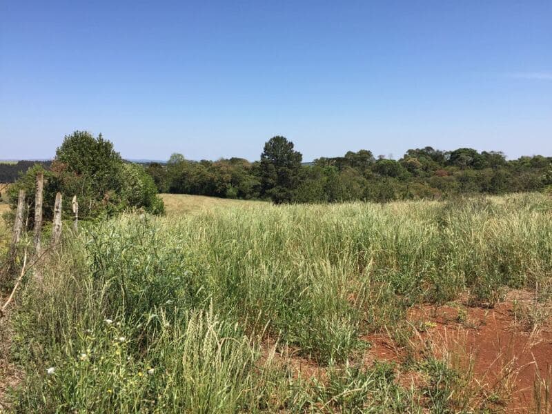 Foto 25 de 27: Terreno em leilão em Pitanga - PR — LOTE 001-1 Imóvel