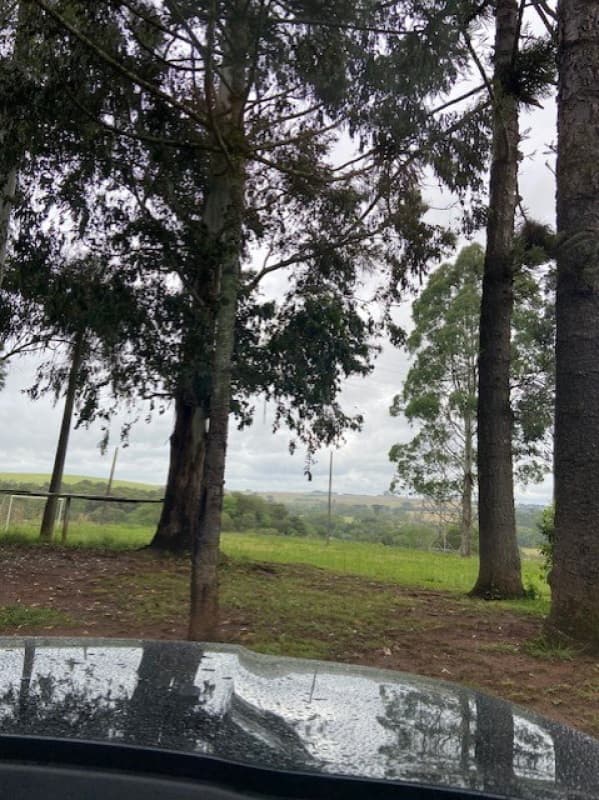Foto 5 de 6: Terreno em leilão em Passo Fundo - RS — LOTE 002 Imóvel