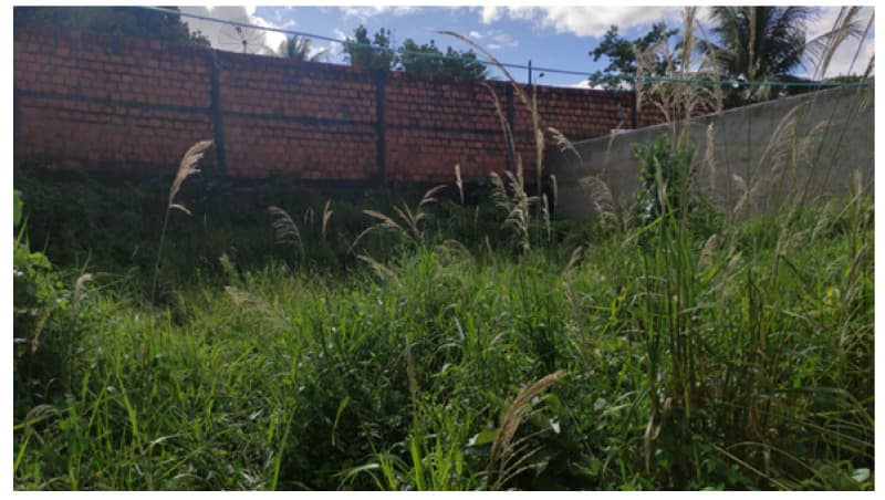 Foto 4 de 5: Terreno em leilão em Capela - SE — LOTE 001 TERRENO EM CAPELA/SE