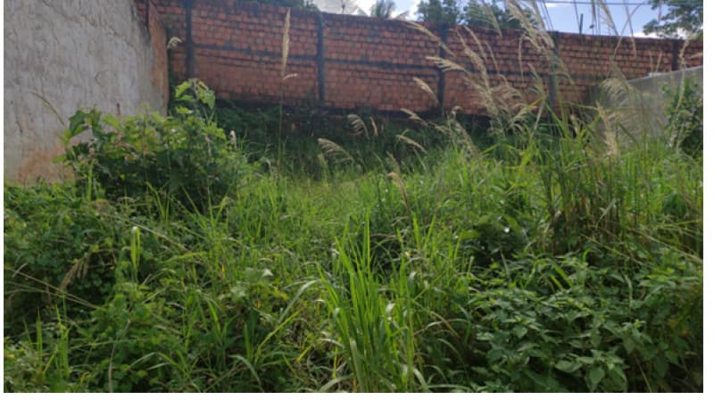 Foto 1 de 5: Terreno em leilão em Capela - SE — LOTE 002 TERRENO EM CAPELA/SE