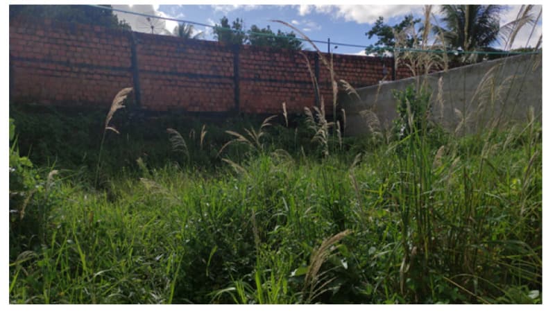 Foto 3 de 5: Terreno em leilão em Capela - SE — LOTE 002 TERRENO EM CAPELA/SE