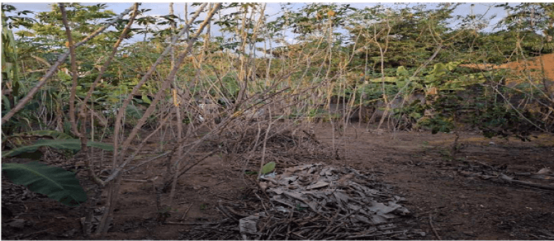 Terreno em leilão em Jaru - RO — LOTE 002 Lote 11, Quadra 62, Residencial Savana Park, com área de 200 m² (duzentos metros quadrados)