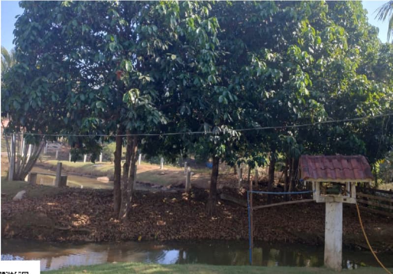Foto 9 de 10: Terreno em leilão em Cacoal - RO — LOTE 001 LOTE DE TERRAS RURAIS