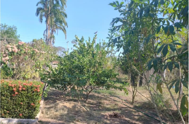 Foto 10 de 10: Terreno em leilão em Cacoal - RO — LOTE 001 LOTE DE TERRAS RURAIS