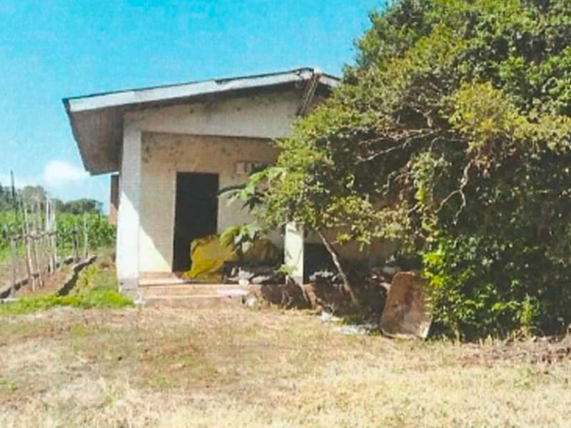 Foto 2 de 4: Area Rural em leilão em Imigrante - RS — LOTE 009 Área de terras com 800m² na Linha Harmonia Alta em Imigrante