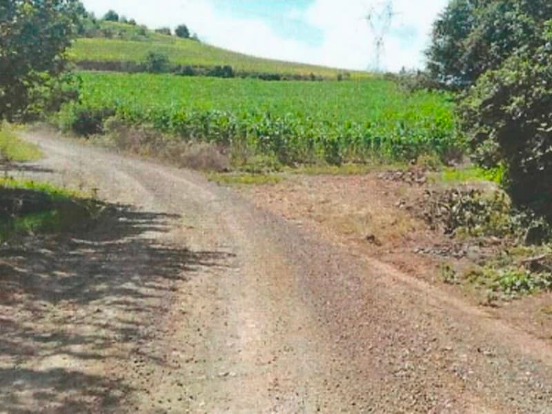 Foto 4 de 4: Area Rural em leilão em Imigrante - RS — LOTE 009 Área de terras com 800m² na Linha Harmonia Alta em Imigrante