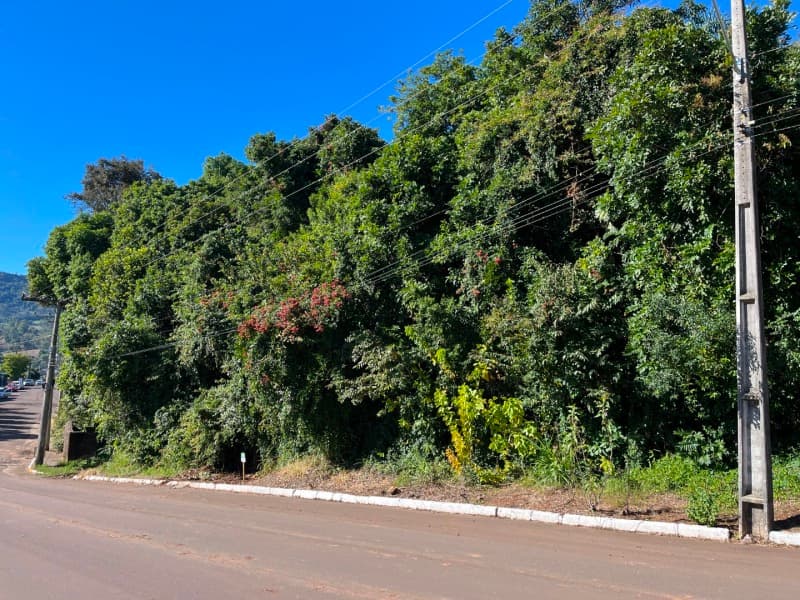 Foto 3 de 4: Terreno em leilão em Imigrante - RS — LOTE 010 Terreno com área 999,29m² na Rua Guilherme Ernesto Lagemann, Centro de Imigrante
