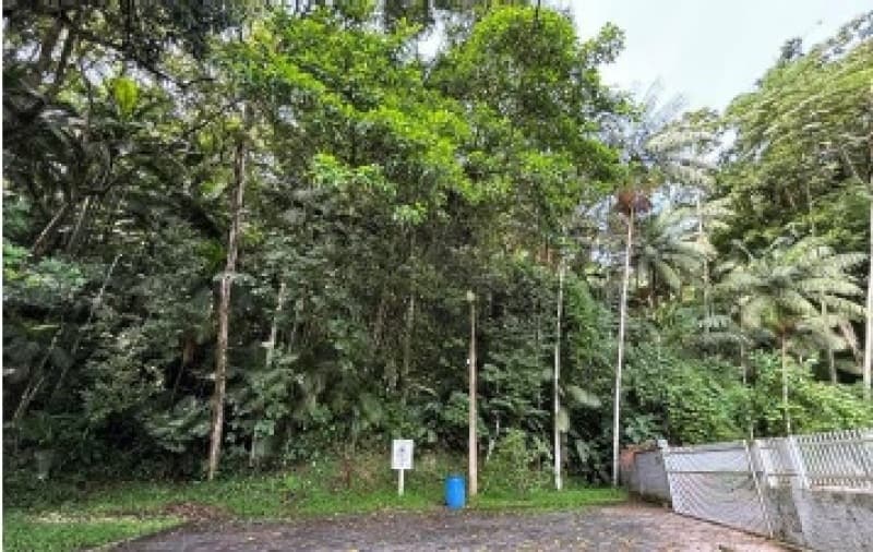 Terreno em leilão em Blumenau - SC, bairro Velha — LOTE 001 Terreno - Bairro Velha - Blumenau/SC - 40.750,0m²