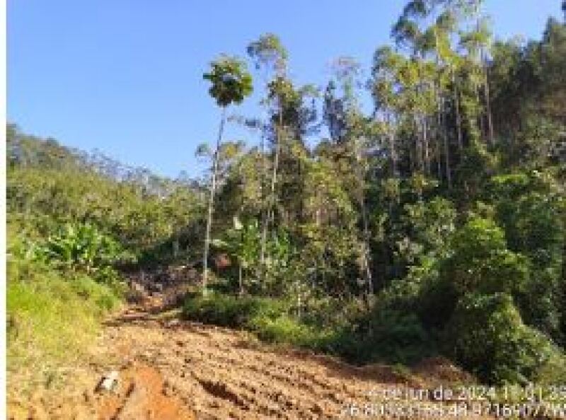 Foto 3 de 5: Area Rural em leilão em Gaspar - SC — LOTE 012 IMÓVEL RURAL