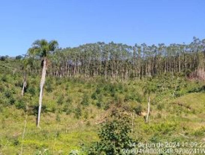 Area Rural em leilão em Ilhota - SC — LOTE 015 IMÓVEL RURAL