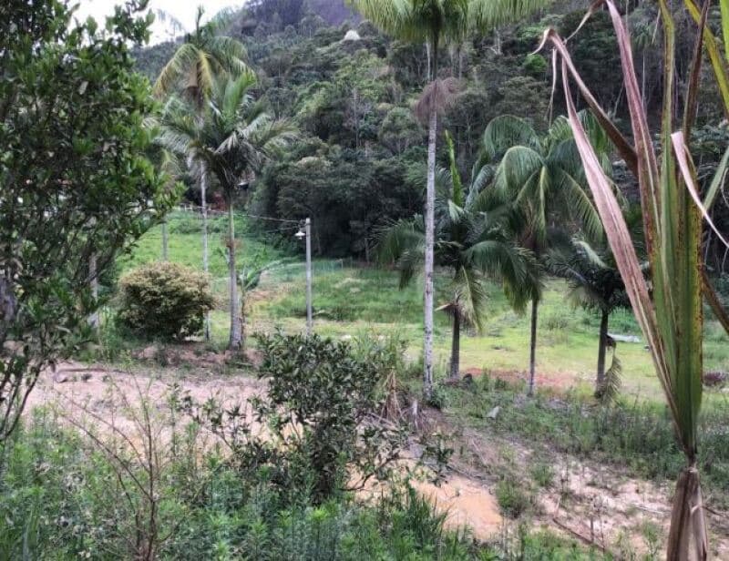 Foto 6 de 11: Area Rural em leilão em Sumidouro - RJ — LOTE 001 LOTE ÚNICO