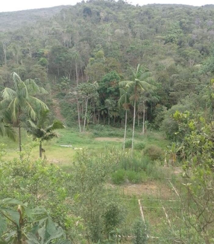 Foto 11 de 11: Area Rural em leilão em Sumidouro - RJ — LOTE 001 LOTE ÚNICO