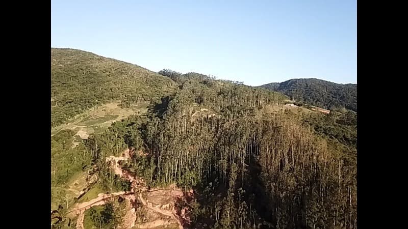 Foto 1 de 2: Terreno em leilão em Antônio Carlos - SC — LOTE 001 IMÓVEL