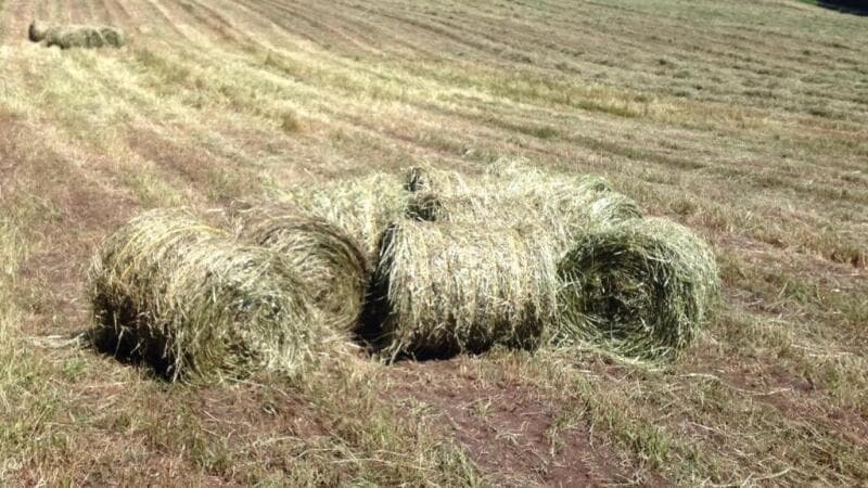 Foto 3 de 12: Imóvel em leilão em Piraquara - PR — LOTE 004 Área em Piraquara