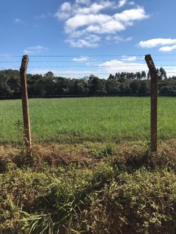 Foto 6 de 12: Imóvel em leilão em Piraquara - PR — LOTE 004 Área em Piraquara