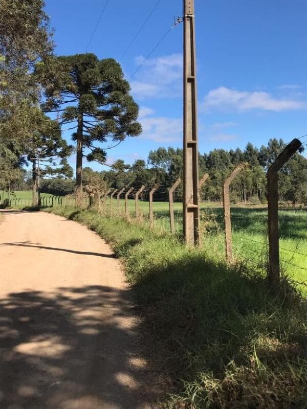 Foto 7 de 12: Imóvel em leilão em Piraquara - PR — LOTE 004 Área em Piraquara