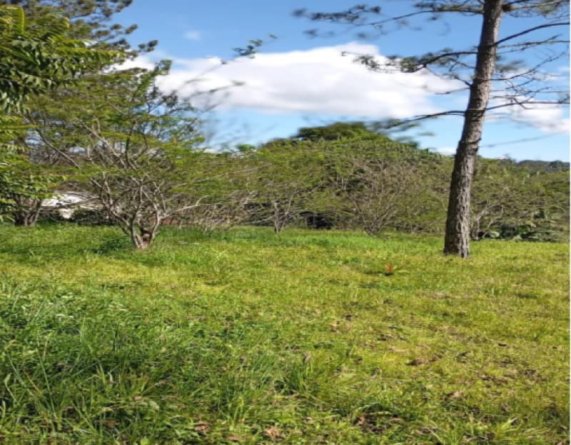 Foto 4 de 6: Terreno em leilão em Taió - SC, bairro Padre Eduardo — LOTE 001 TERRENO