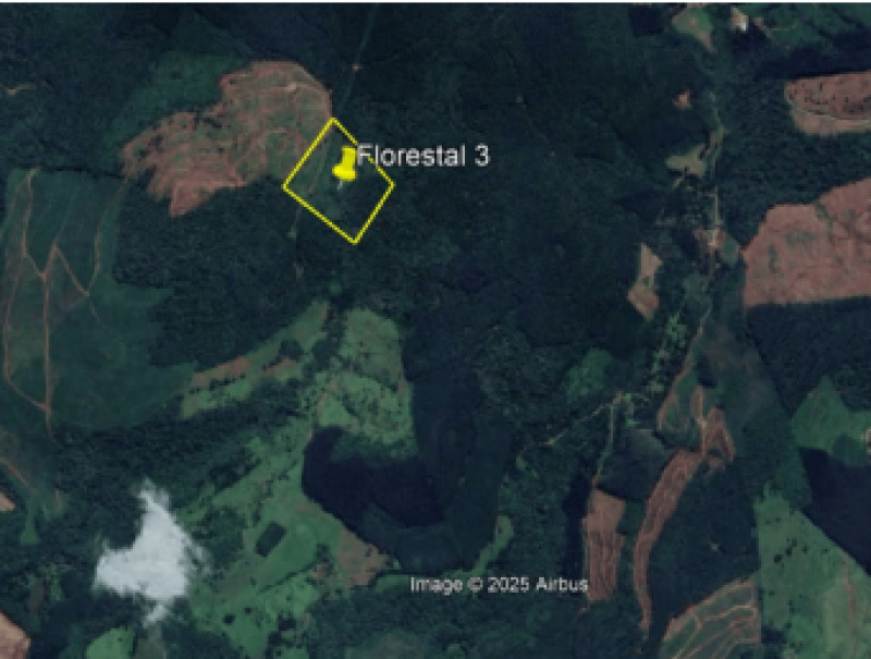 Foto 5 de 7: Terreno em leilão em Macieira - SC — LOTE 001 TERRENO RURAL (FLORESTAL 03)