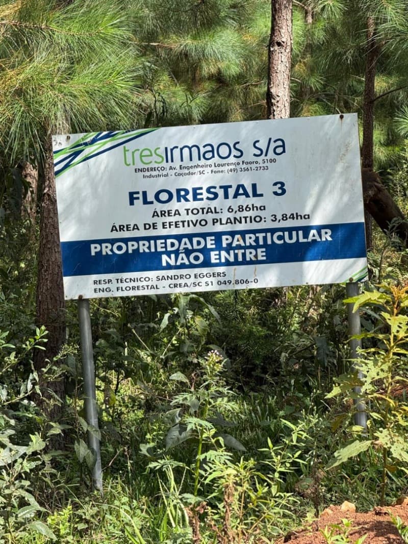 Foto 7 de 7: Terreno em leilão em Macieira - SC — LOTE 001 TERRENO RURAL (FLORESTAL 03)