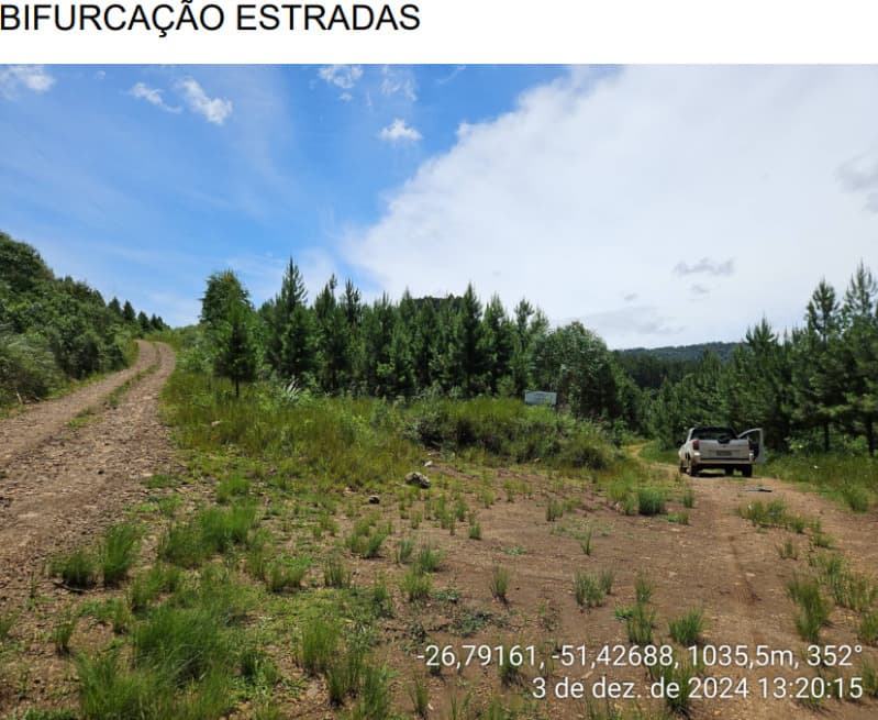 Foto 2 de 24: Area Rural em leilão em Macieira - SC — LOTE 003 PARTE DA FAZENDA SÃO NICOLAU (FLORESTAL 05)