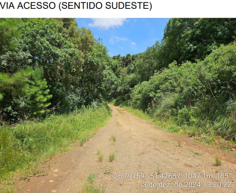 Foto 12 de 24: Area Rural em leilão em Macieira - SC — LOTE 003 PARTE DA FAZENDA SÃO NICOLAU (FLORESTAL 05)