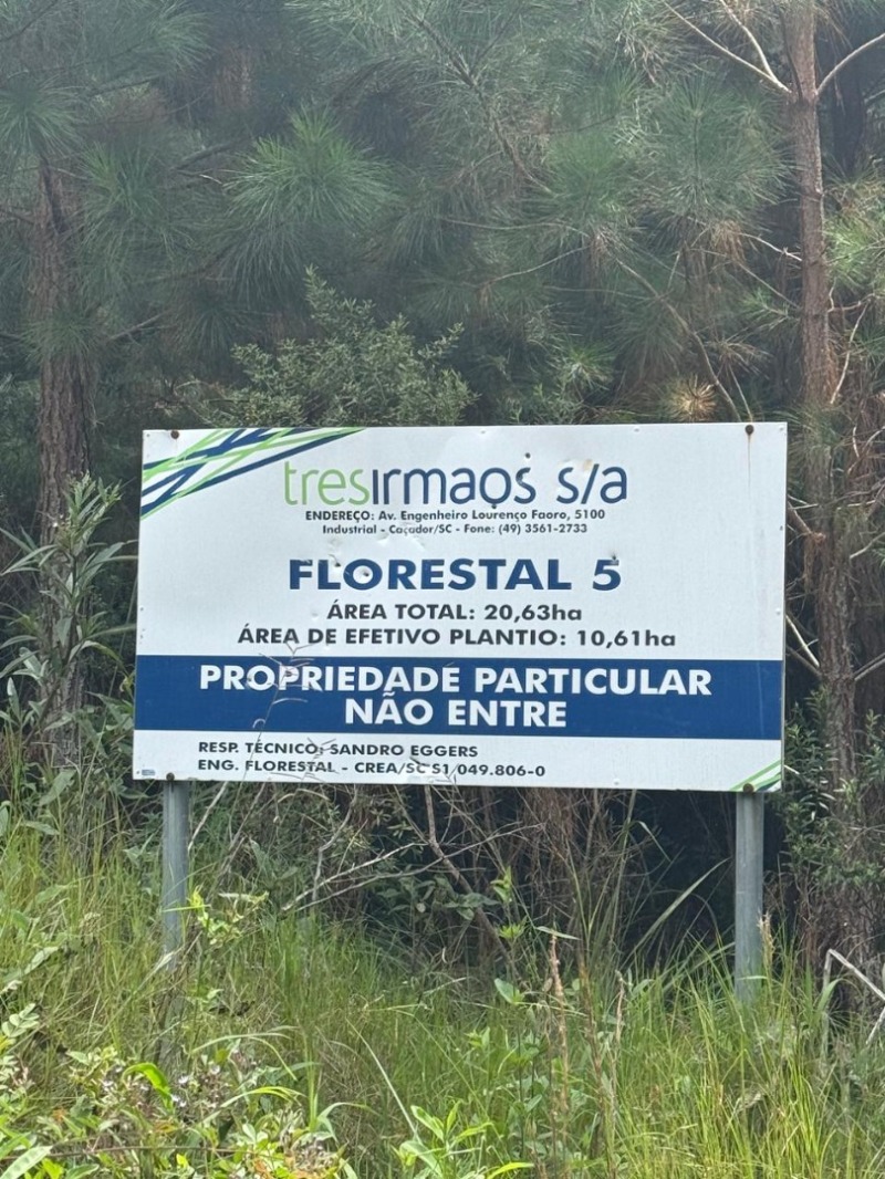 Area Rural em leilão em Macieira - SC — LOTE 003 PARTE DA FAZENDA SÃO NICOLAU (FLORESTAL 05)
