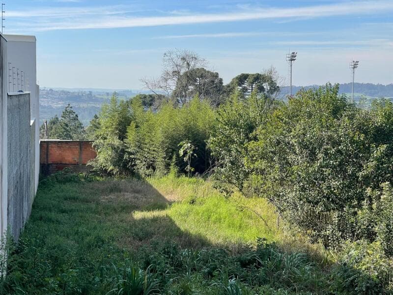 Foto 7 de 10: Terreno em leilão em Mafra - SC — LOTE 001 TERRENO URBANO
