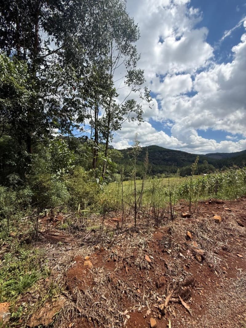 Foto 9 de 25: Area Rural em leilão em Macieira - SC — LOTE 001 PARTE DA FAZENDA SÃO NICOLAU (FLORESTAL 05)
