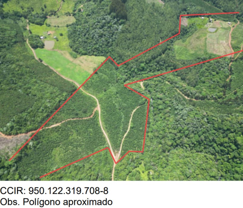 Foto 10 de 25: Area Rural em leilão em Macieira - SC — LOTE 001 PARTE DA FAZENDA SÃO NICOLAU (FLORESTAL 05)
