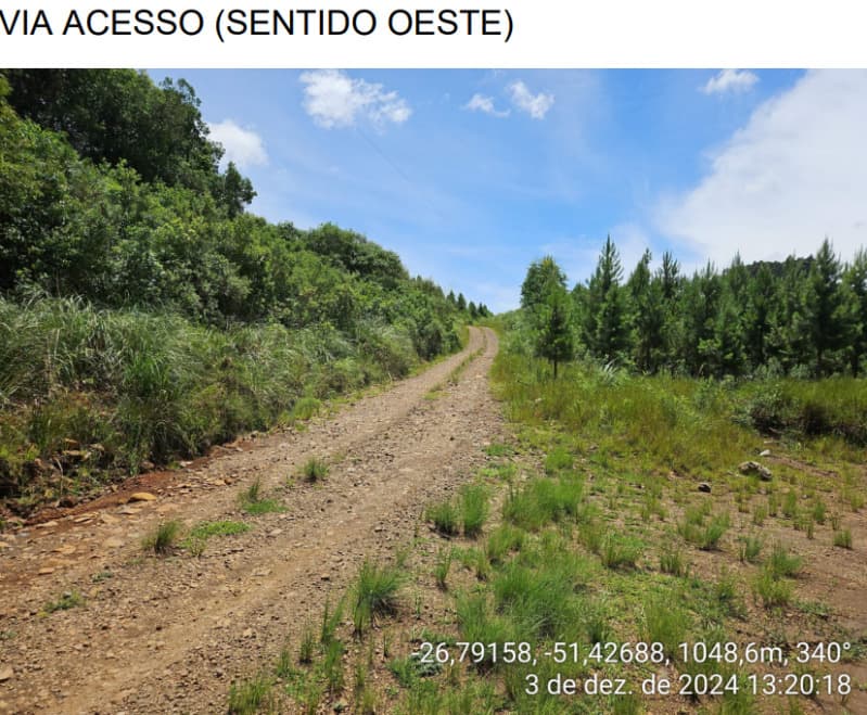 Foto 18 de 25: Area Rural em leilão em Macieira - SC — LOTE 001 PARTE DA FAZENDA SÃO NICOLAU (FLORESTAL 05)