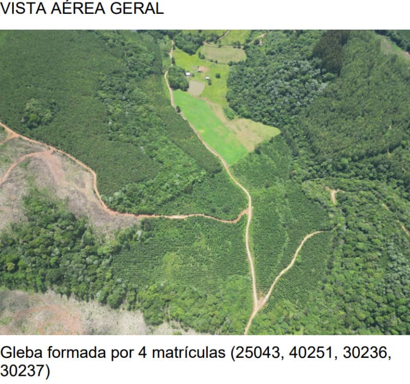 Foto 23 de 25: Area Rural em leilão em Macieira - SC — LOTE 001 PARTE DA FAZENDA SÃO NICOLAU (FLORESTAL 05)