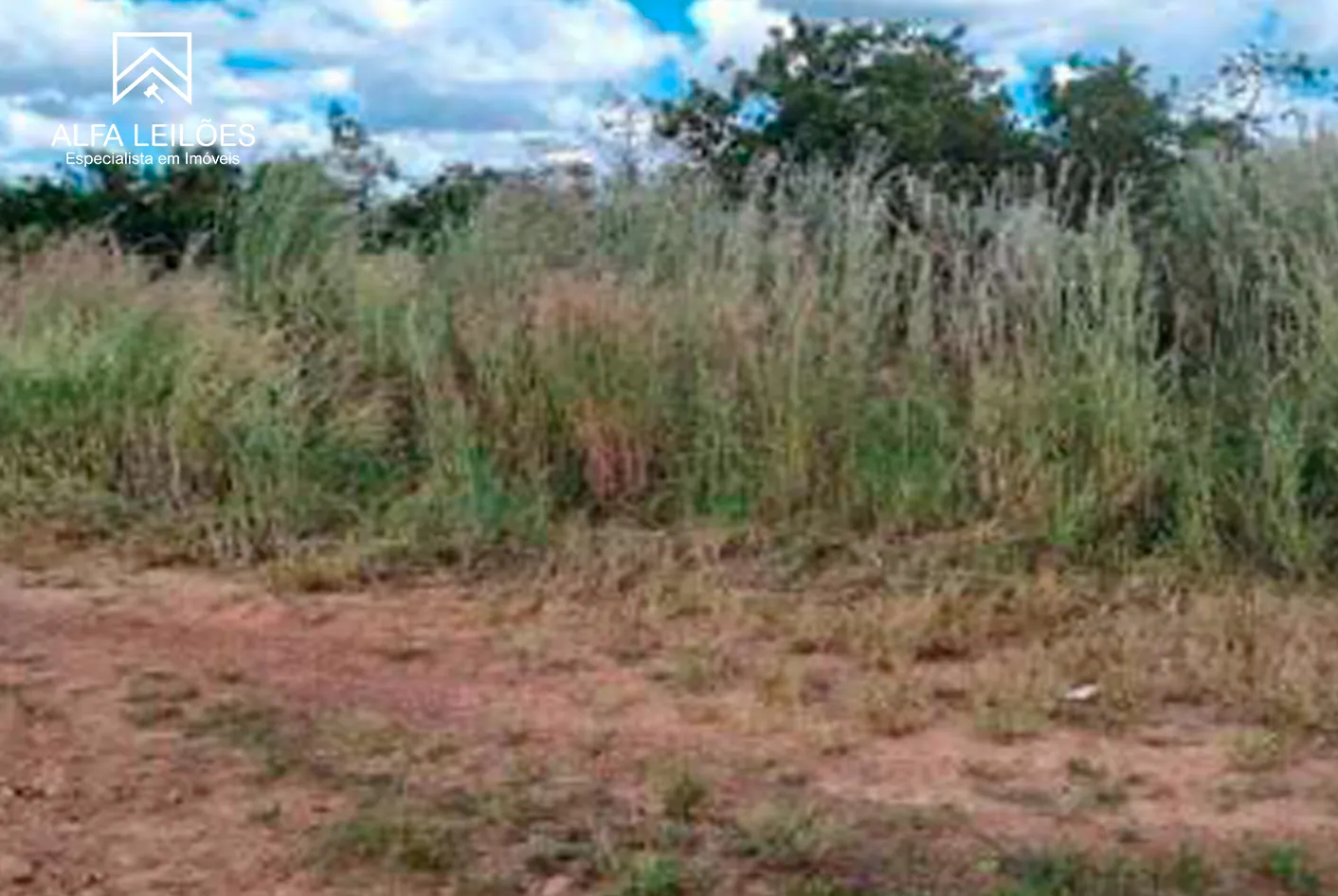Foto 2 de 17: Area Rural em leilão em Paranatinga - MT — Leilão De Fazenda Em Paranatinga (mt)