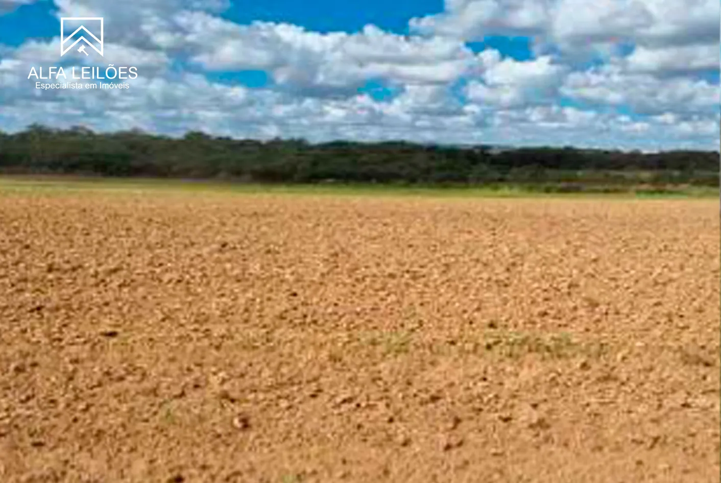 Foto 3 de 17: Area Rural em leilão em Paranatinga - MT — Leilão De Fazenda Em Paranatinga (mt)